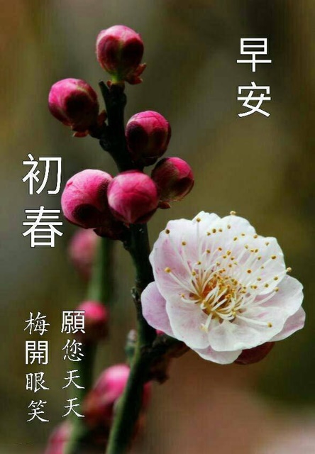 按我可連結至更清楚的圖片